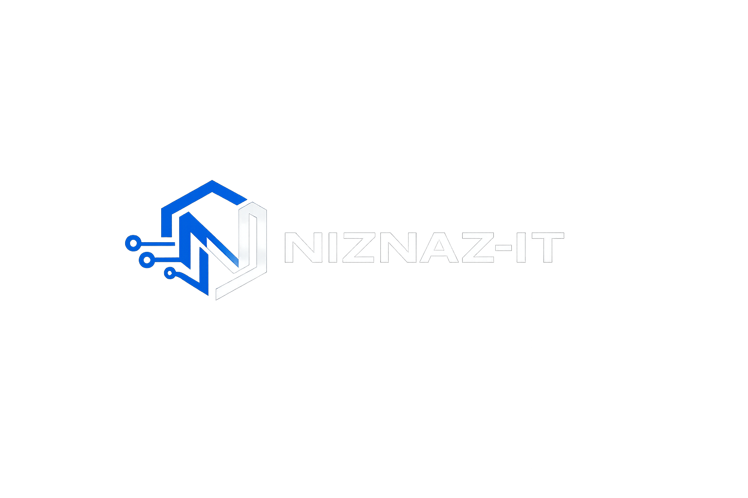 NizNaz-IT