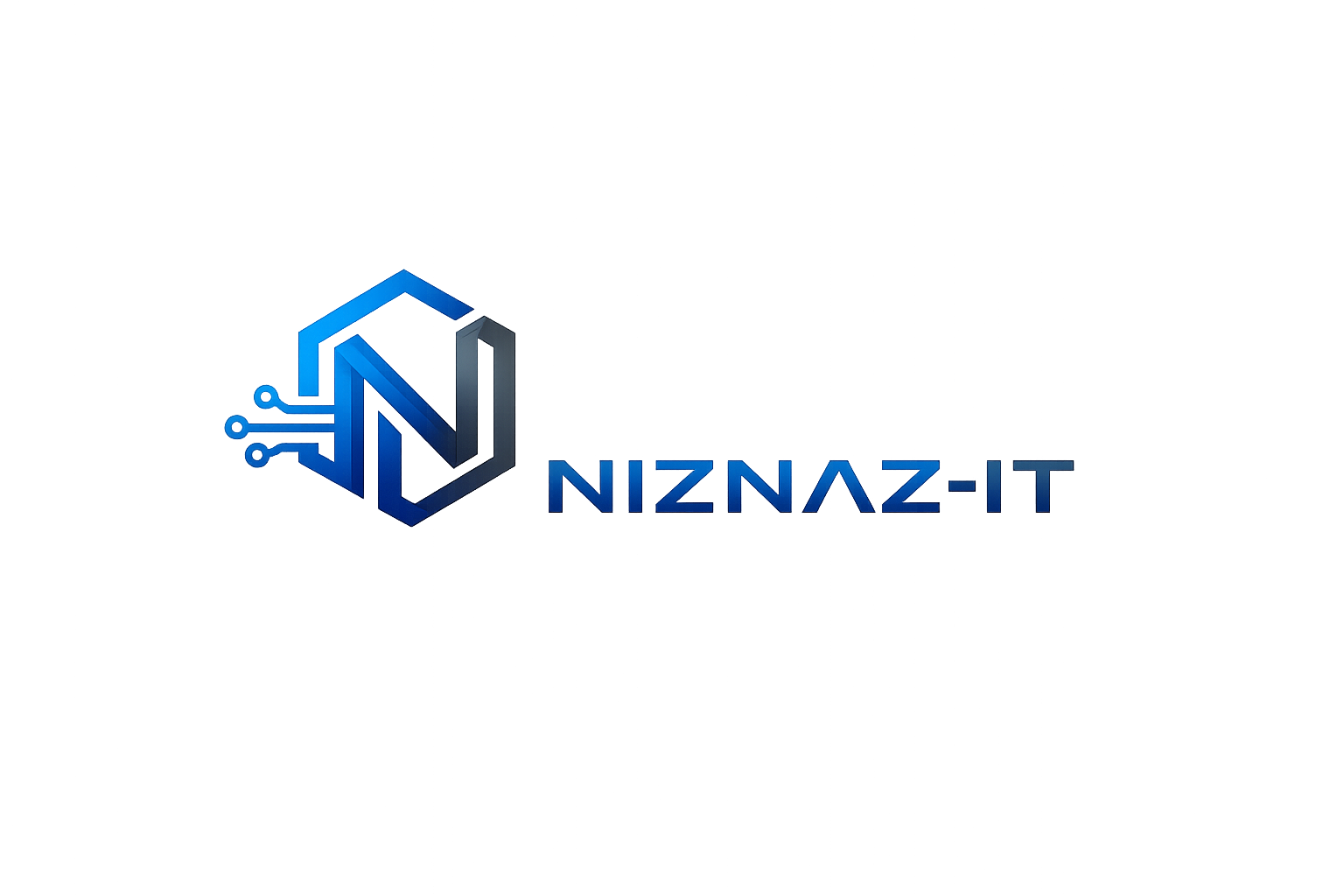 NizNaz-IT logo