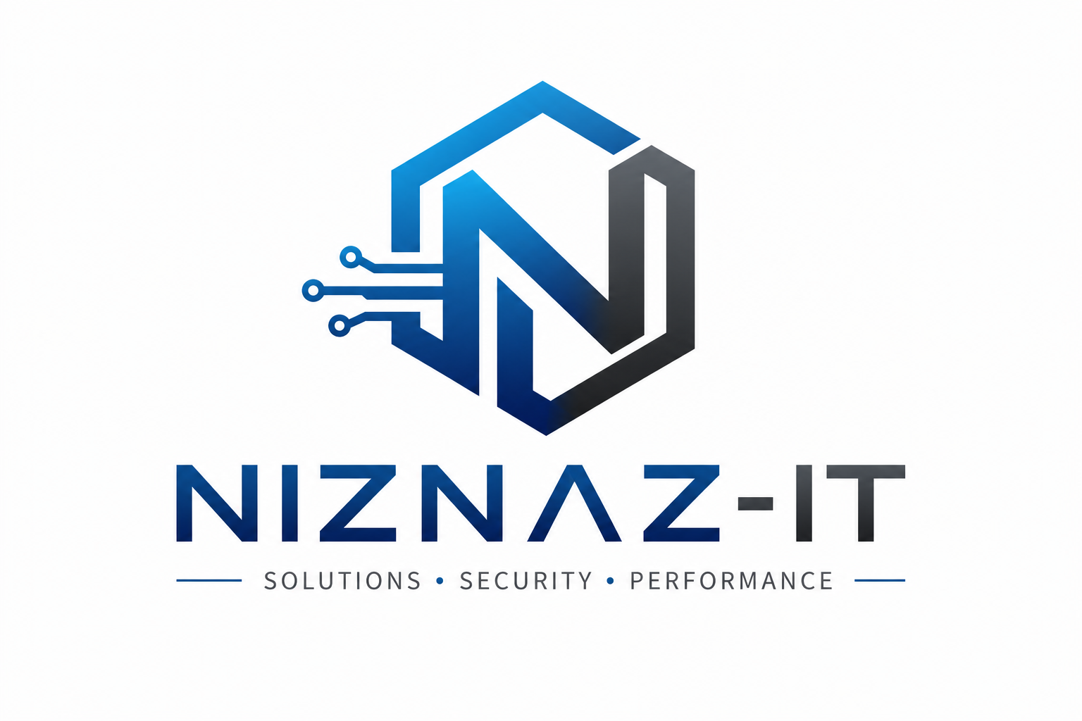 NizNaz-IT logo